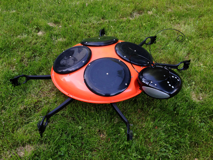 Lady Bug on Lawn